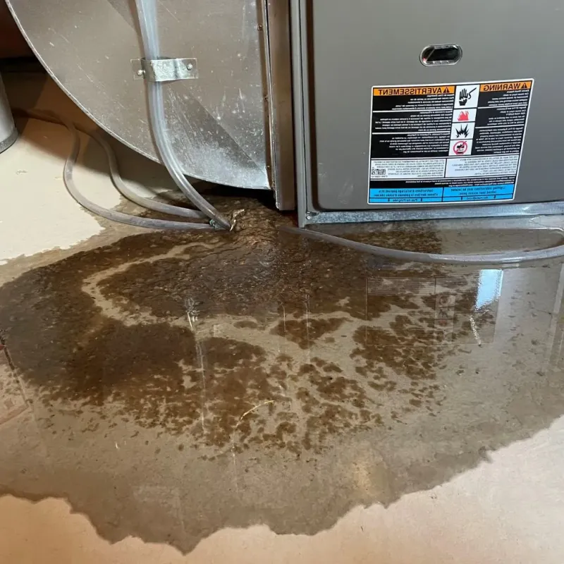 Pipe Burst and Leak Restoration in Park Layne, OH