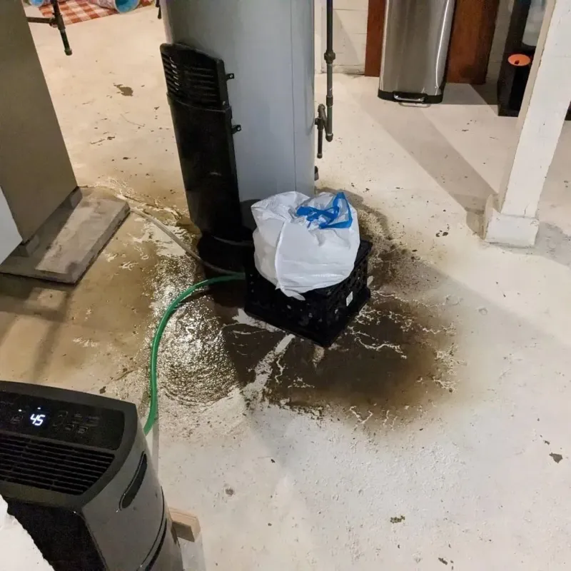 Sewage Backup Cleanup Service in Park Layne, OH